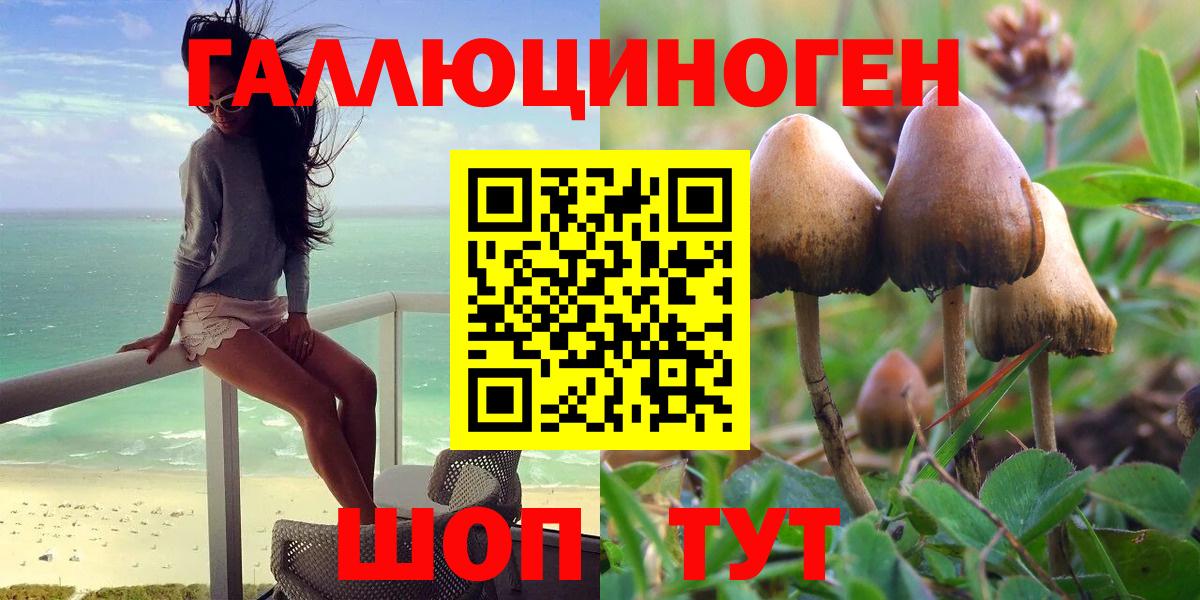 Псилоцибиновые грибы Psilocybe Орск