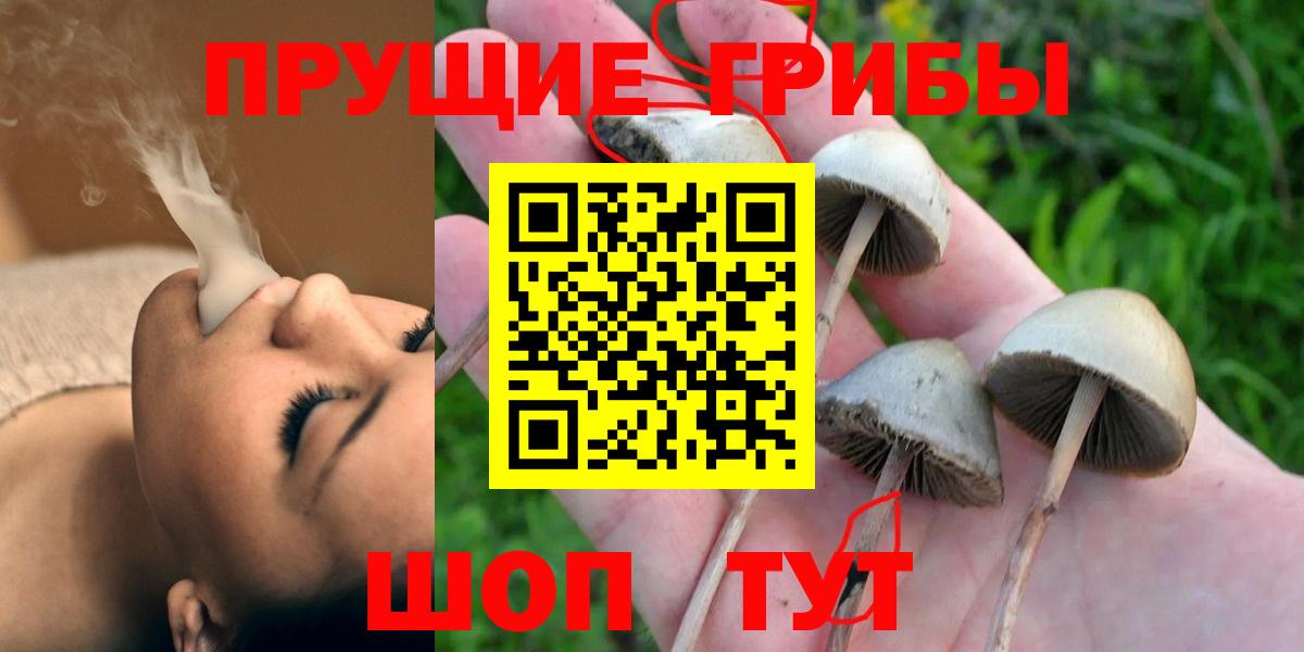 Орск  Галлюциногенные грибы мицелий  Вход с VPN 